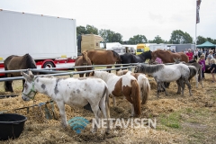 Vorbasse Marked 2019 - Lørdag den 20. juli 2019