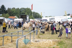 Vorbasse Marked 2019 - Lørdag den 20. juli 2019