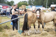 Vorbasse Marked 2019 - Lørdag den 20. juli 2019