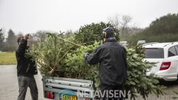 juletræsindsamling