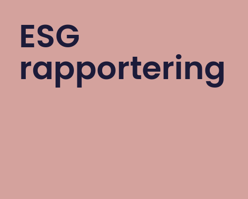Echo Skakbræt-8