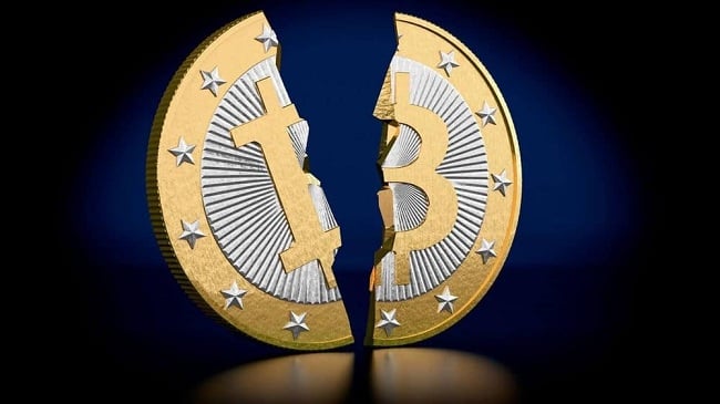 Bitcoin value may arrive at $100, says Harvard economist