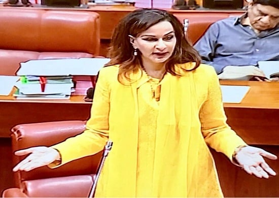 Budget will push Pakistan towards an economic emergency, says Sherry