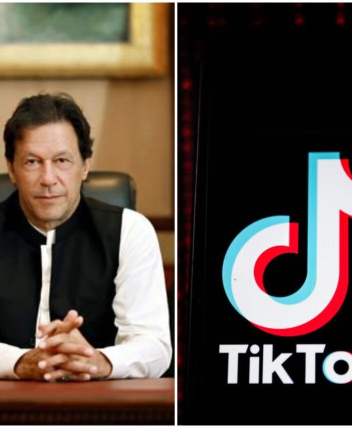 Imran Khan's TikTok Debut: A Social Media Sensation