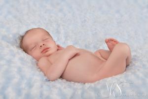 JHS Design Newborn Fotografie-15