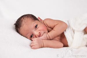 JHS Design Newborn Fotografie-62   