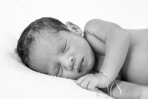 JHS Design Newborn Fotografie-64   