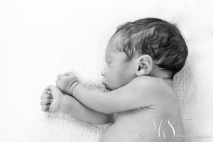 JHS Design Newborn Fotografie-65