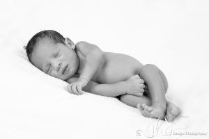 JHS Design Newborn Fotografie-66