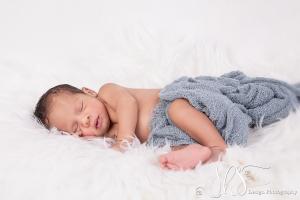 JHS Design Newborn Fotografie-67   
