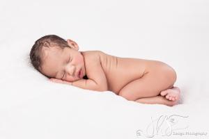 JHS Design Newborn Fotografie-75   