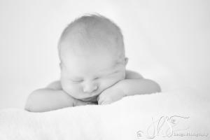 JHS Design Newborn Fotografie-78 