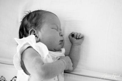 JHS Design newborn lifestyle Fotografie-31