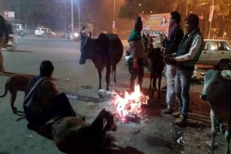 उत्तर प्रदेश में तापमान कम होने से बढी ठंडक, पूरे प्रदेश में चल रही है जबर्दस्त शीतलहर | New India Times