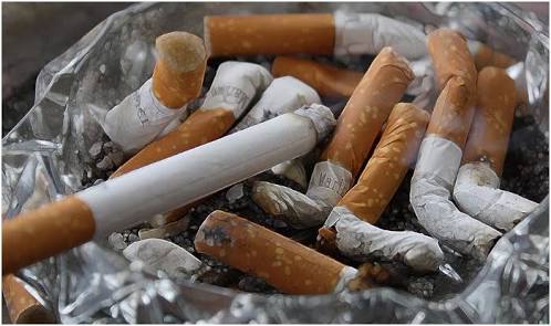 मध्यप्रदेश में प्रतिदिन ₹ 7 करोड़ धुएं में उड़ा रहे हैं सिगरेट पीने वाले | New India Times