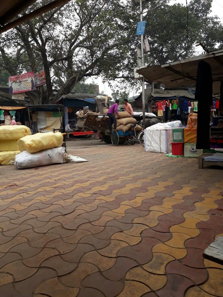 जामा मस्जिद के सामने नगर पंचायत की भूमि पर दुकानदारों ने किया अवैध कब्जा, एसडीएम के आदेश के बावजूद नहीं हुई कार्रवाई | New India Times