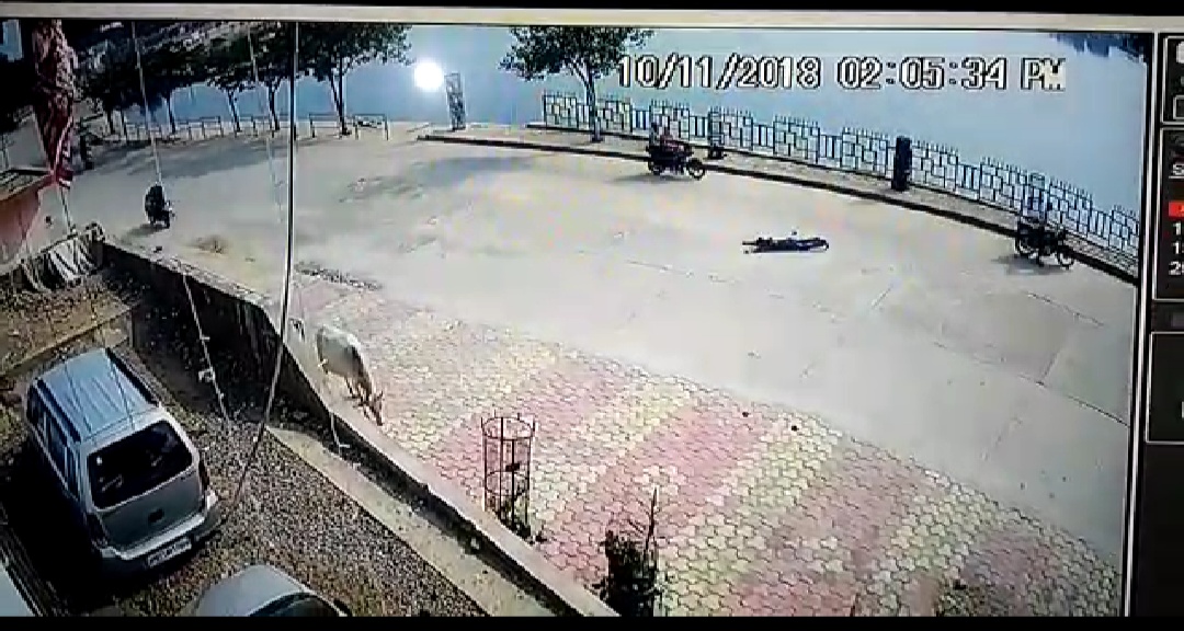 3 फीट हवा में उछलकर सड़क पर गिरा बाइक सवार, घटना मंदिर पर लगे सीसीटीवी कैमरे में हुई कैद | New India Times