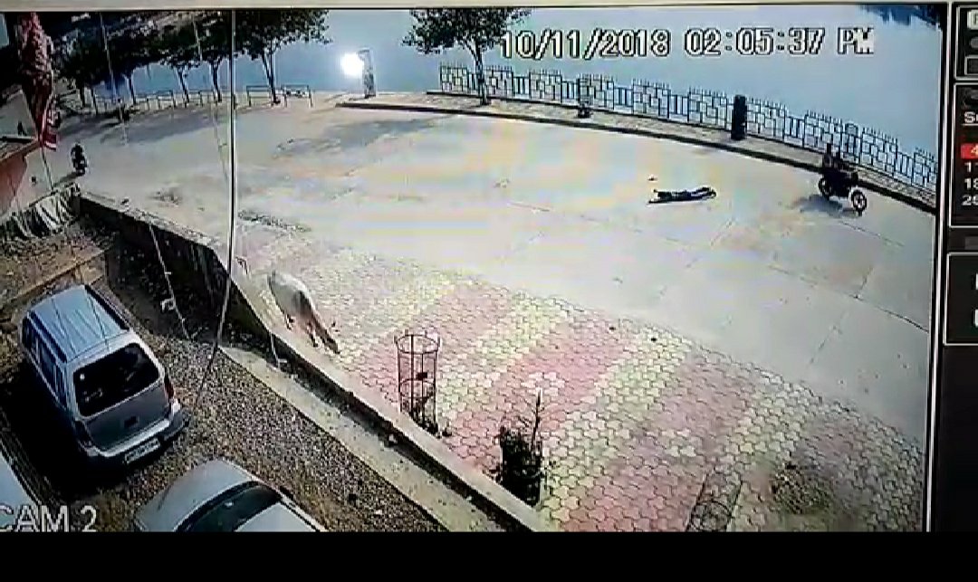 3 फीट हवा में उछलकर सड़क पर गिरा बाइक सवार, घटना मंदिर पर लगे सीसीटीवी कैमरे में हुई कैद | New India Times