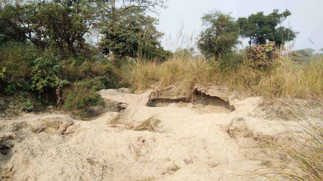 जनपद लखीमपुर खीरी के थाना सम्पूर्णनगर में वन विभाग के भूमि से हो रहा अवैध खनन | New India Times