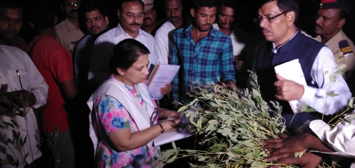 अकाल स्थिति के जायजे के लिए केंद्रीय टीम जलगांव में: एनसीपी लीडर संजय गरुड ने सरकार पर लगाया किसानों के साथ मसखरी करने का आरोप | New India Times