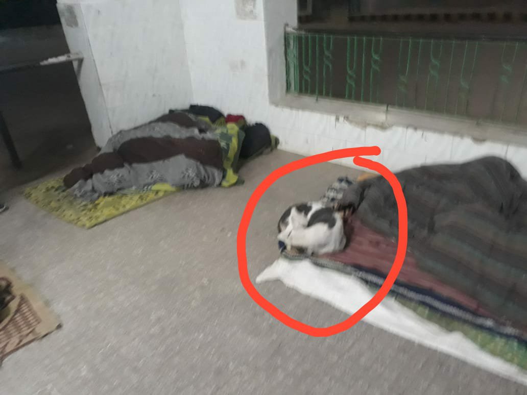 बहराइच में रैन बसेरों का हाल बेहाल, अव्यवस्था के कारण फर्श पर रात गुजारने को मजबूर हैं मुसाफिर व बेघर | New India Times
