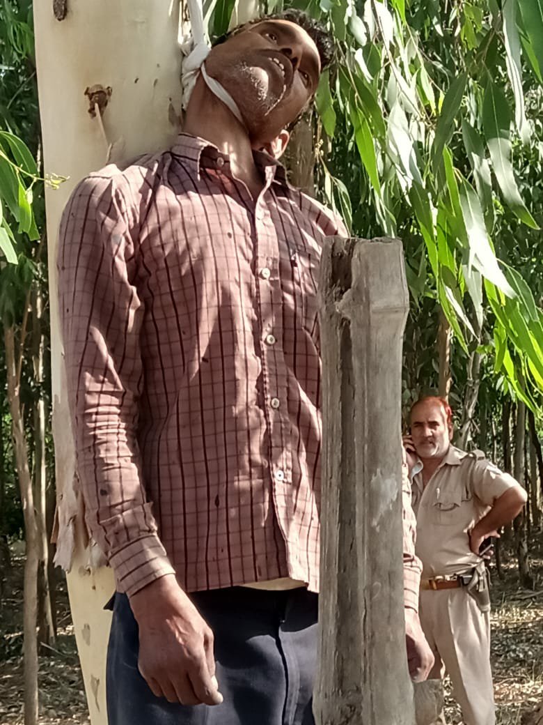 संदिग्ध परिस्थिति में युवक का पेड़ से लटकता मिला शव | New India Times