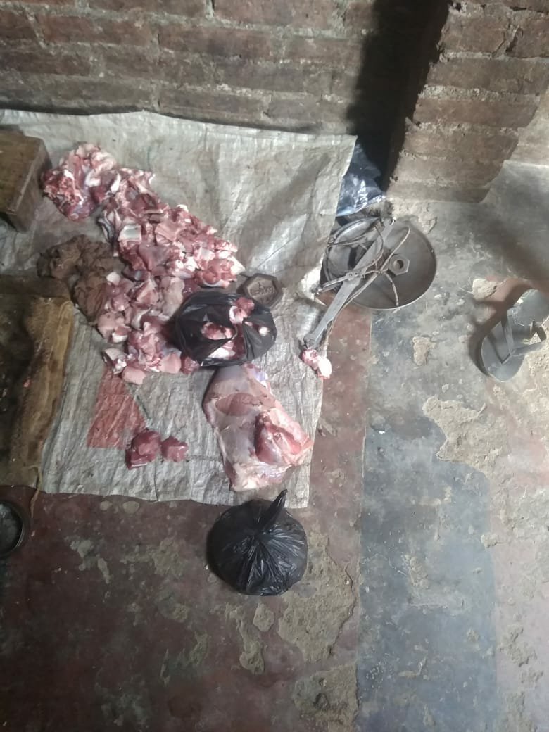 बाराबंकी के बड्डूपुर थाना क्षेत्र के खिझंना गांव में घर के अंदर गौकशी का हुआ खुलासा, 35 किग्रा मांस के साथ तीन आरोपी गिरफ्तार | New India Times