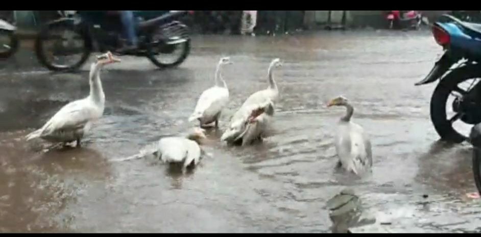पहली ही बारिश में भिवंडी हुआ पानी पानी, जनजीवन अस्त-व्यस्त, सड़कों पर पानी जमा होने से ट्रैफिक जाम | New India Times