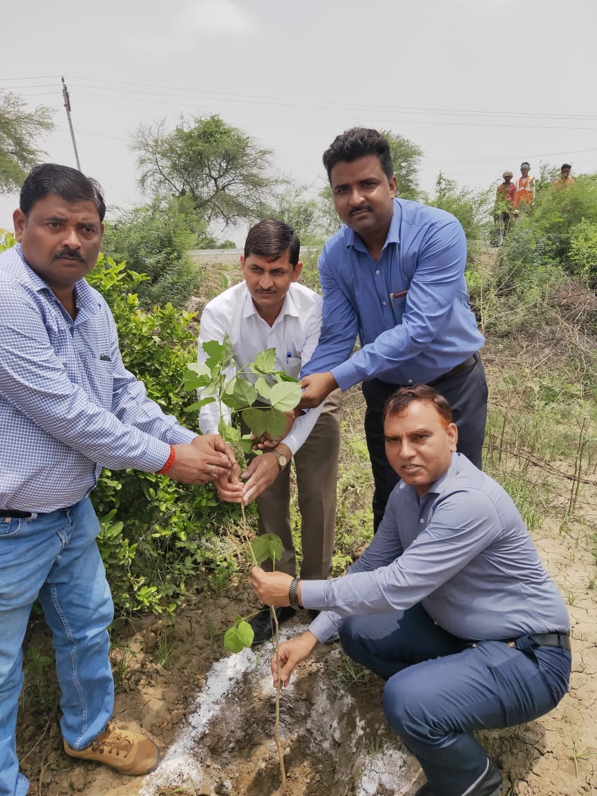 पीएनसी के ठेकेदार को कलेक्टर ने दिया 5000 पेड़ लगाने का निर्देश, कलेक्टर ने मेहगांव प्लांट पर खुद किया पौधारोपण | New India Times