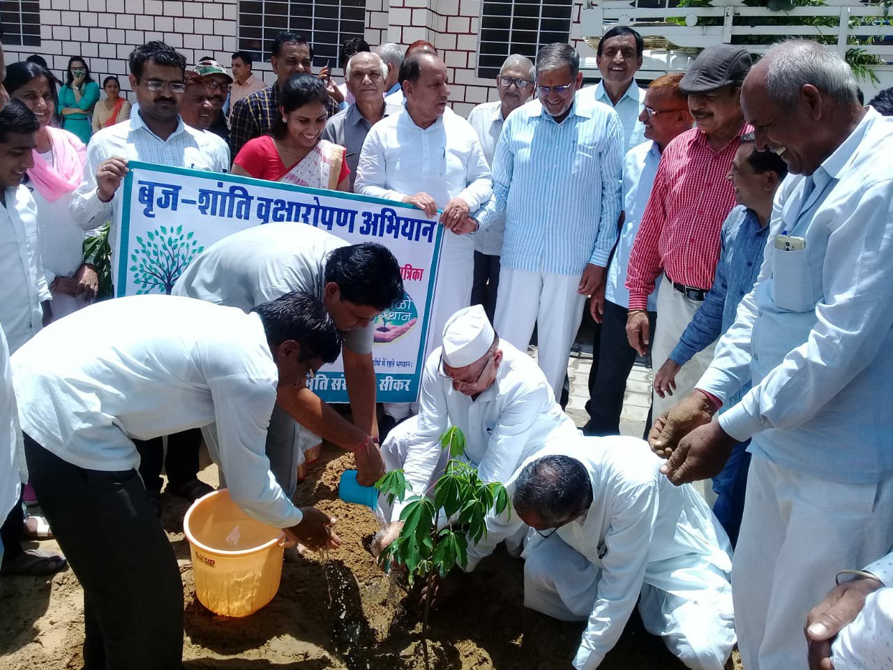 सीकर के राजनीतिक महरिया परिवार ने गैर राजनीतिक तरीके से 11 हजार से अधिक लगाये छायादार व फलदार पौधे | New India Times