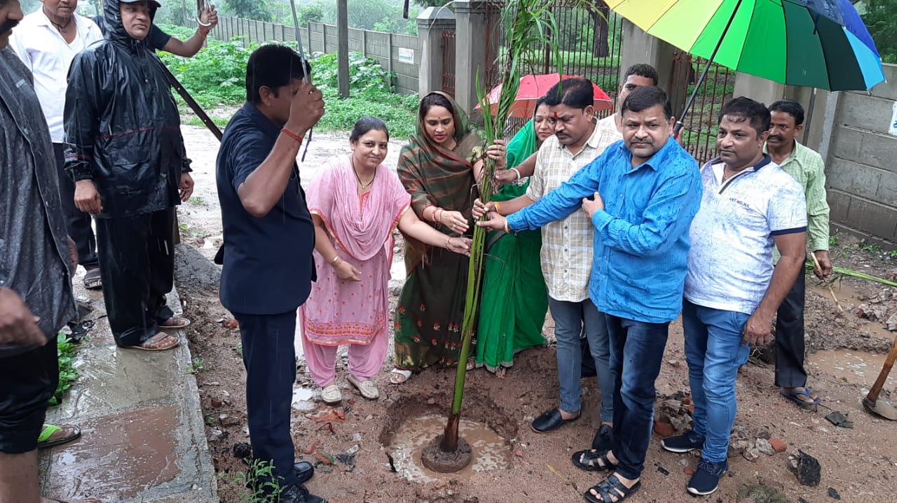 अलीराजपुर नगर पालिका ने किया एक हजार पौधों का रोपण | New India Times