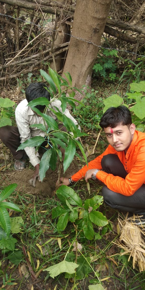 पितृपक्ष की आमवस्या पर हमराह ने वृक्षारोपण कर किया पितरों का तर्पण | New India Times