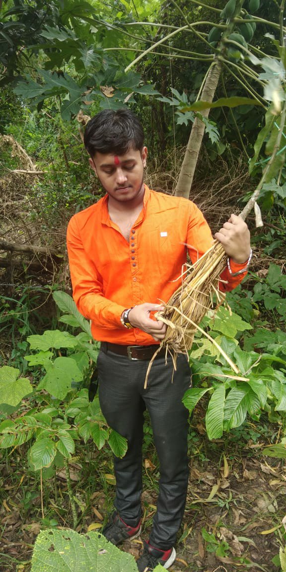 पितृपक्ष की आमवस्या पर हमराह ने वृक्षारोपण कर किया पितरों का तर्पण | New India Times