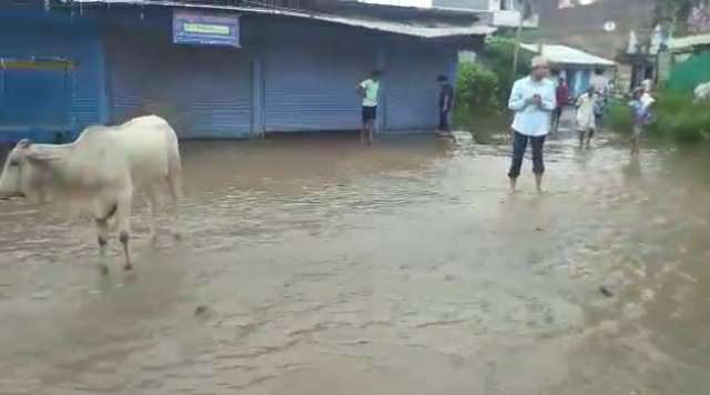 अंधविश्वास: बारिश से राहत के लिए मेंढक-मेंढकी का करवाय गया तलाक एवं गड्ढा खोदकर गाड़ी गई मटकी फिर भी नहीं रुक रही है बारिश | New India Times