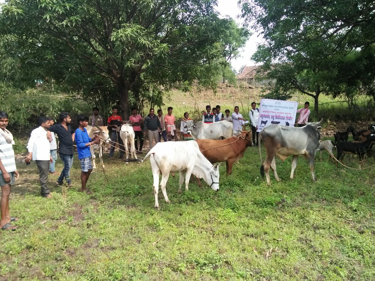 नंदुरबार जिला के कुकलट गांव में पशु चिकित्सा शिविर का हुआ आयोजन | New India Times