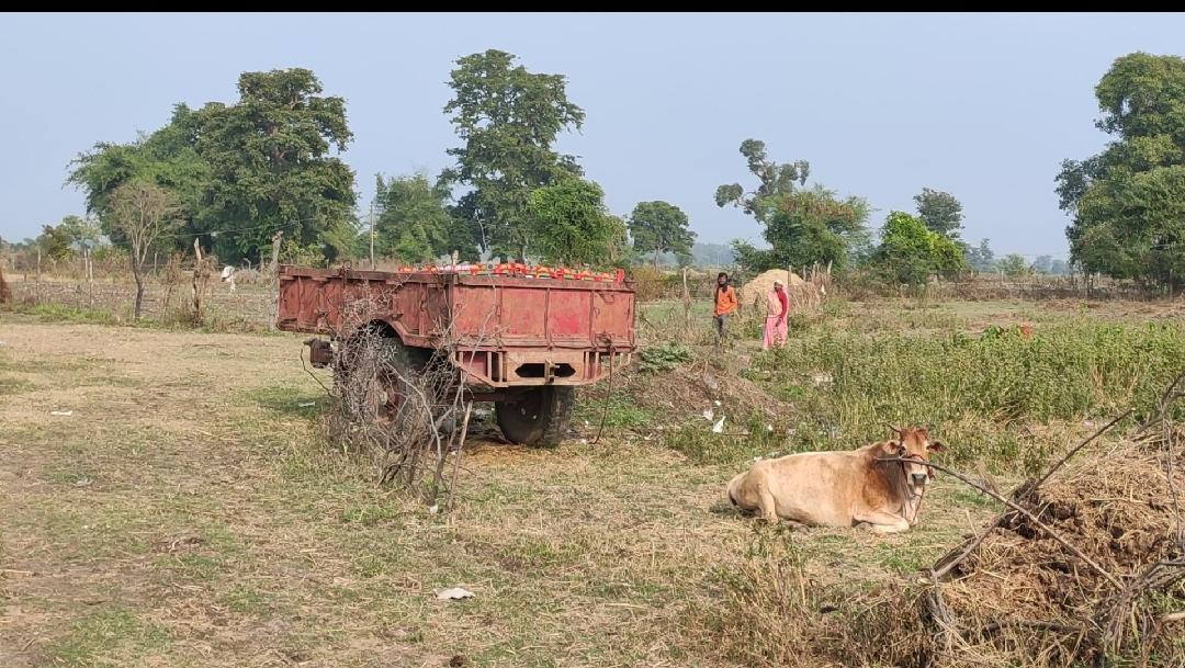 खेल ग्राउंड के लिए आरक्षित सरकारी जमीन पर दबंगों ने किया कब्ज़ा | New India Times