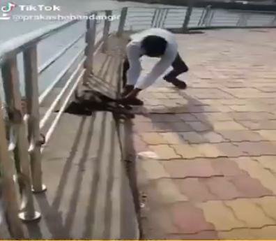 टिक-टाॅक के चक्कर में युवक पहुंचा पुलिस थाने, कुत्ते के साथ किया था वीडियो अपलोड | New India Times