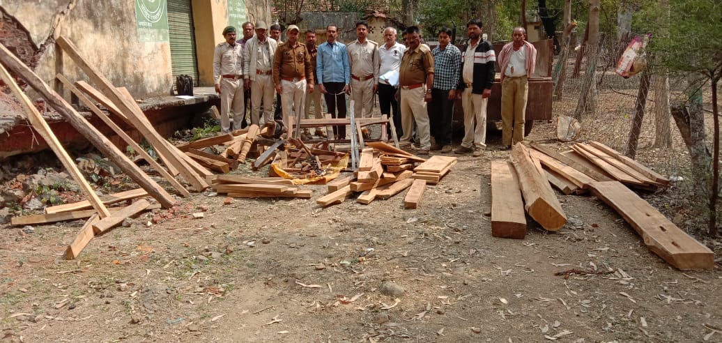 वन विभाग की छापामार कार्यवाही में दो दिन में एक लाख 24 हजार रुपए की सागौन लकड़ी की गई जप्त | New India Times