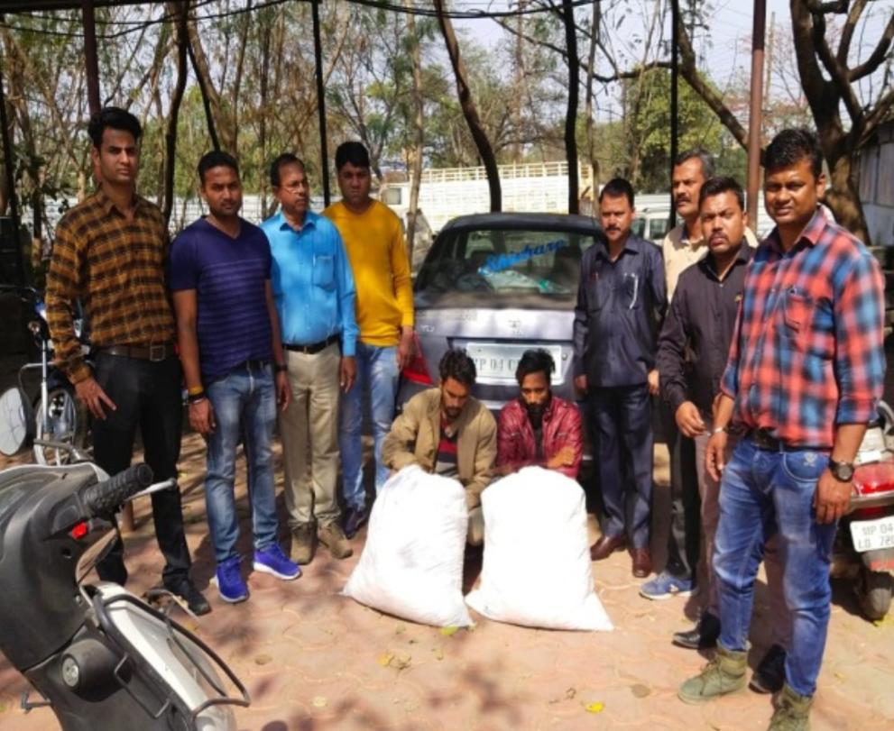 भोपाल क्राइम ब्रांच पुलिस ने 35 किलो गांजा एवं इंडिगो कार सहित दो युवकों को किया गिरफ्तार | New India Times