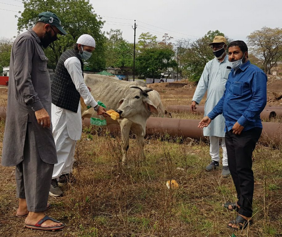 जमीअत उलमा मध्यप्रदेश भोपाल यूथ क्लब की टीम लगातार गरीबों में वितरण कर रही है भोजन | New India Times