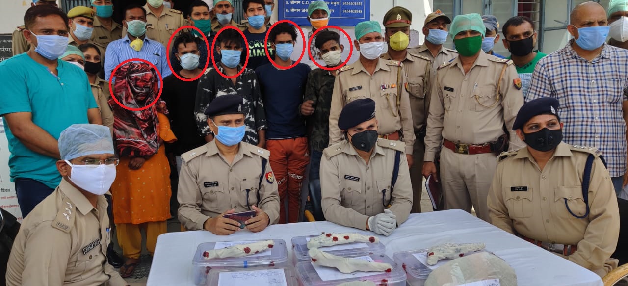 पुलिस ने 40 घंटे में सनसनीखेज बैंक लूटकांड किया खुलासा, महिला सहित 6 आरोपी गिरफ़्तार | New India Times