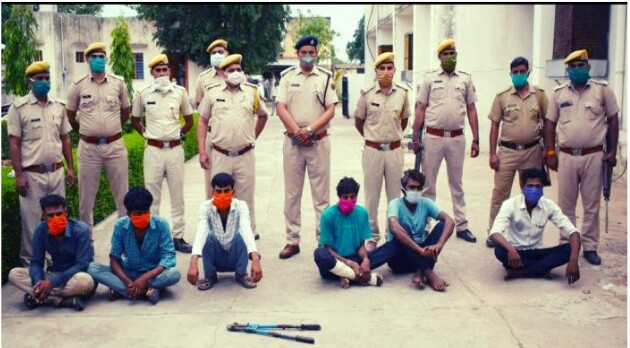 धौलपुर पुलिस ने लूट, डकैती, चोरी की वारदातों को अंजाम देने वाले अंतर्राज्यीय गिरोह के 6 सदस्यों को किया गिरफ्तार, 30 लाख रुपये का माल बरामद | New India Times