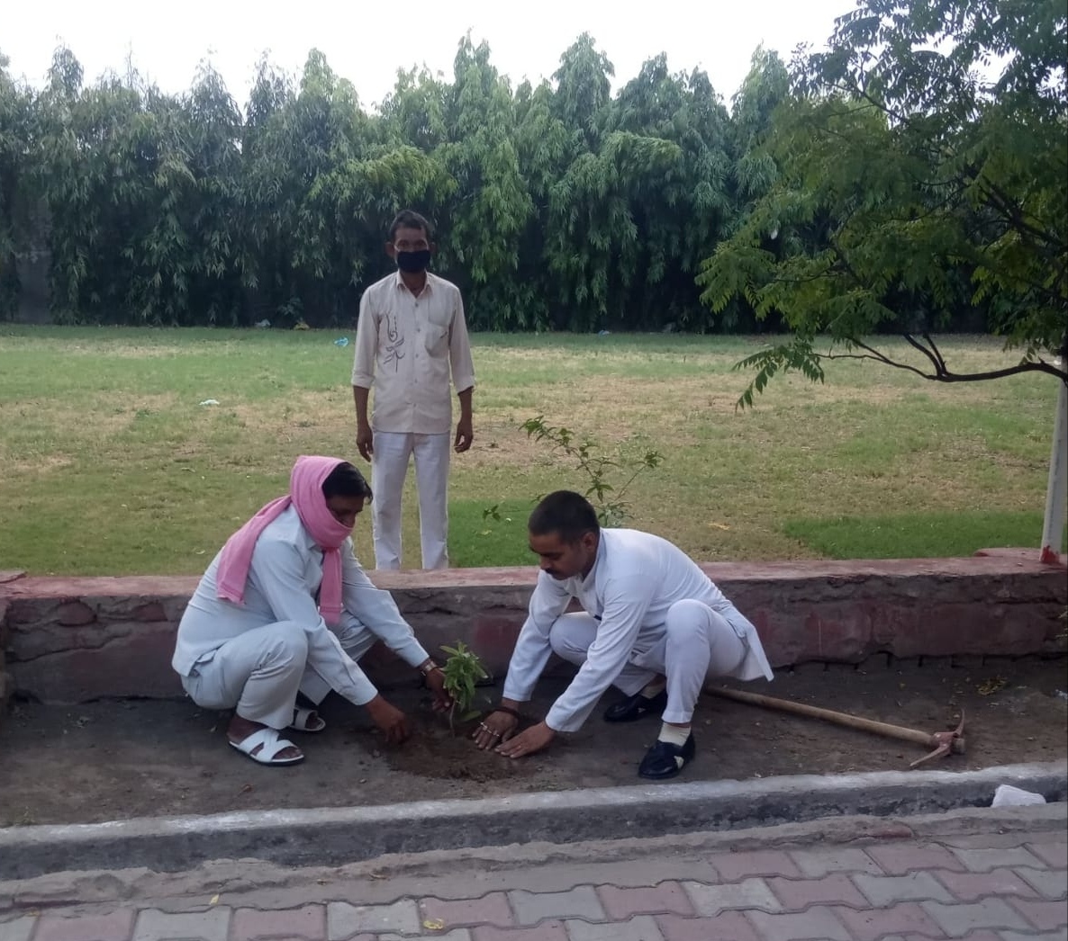 भारत सेवा न्यास इस वर्ष हजारों की संख्या में पेड़ लगाएगा: मानवेंद्र पाण्डव, सृजन भारत प्रकल्प के तहत विश्व पर्यावरण दिवस पर पौधा रोप कर किया गया शुभारंभ | New India Times