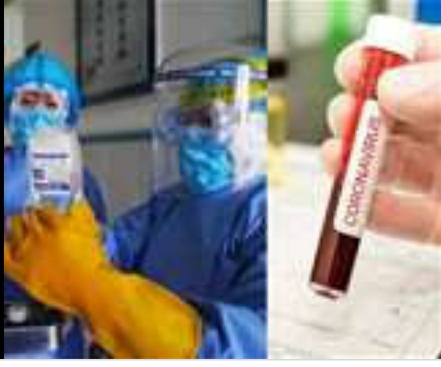 धौलपुर जिले में आज 24 नए कोरोना संक्रमित मरीजों की हुई दस्तक | New India Times