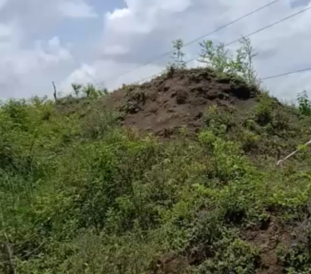 है कोई महामानव जो किसानों का उद्धार कर सके विकास की गंगा के साथ या फिर मूक दर्शक बने रहेंगे: डॉ राजकुमार सनोड़िया | New India Times