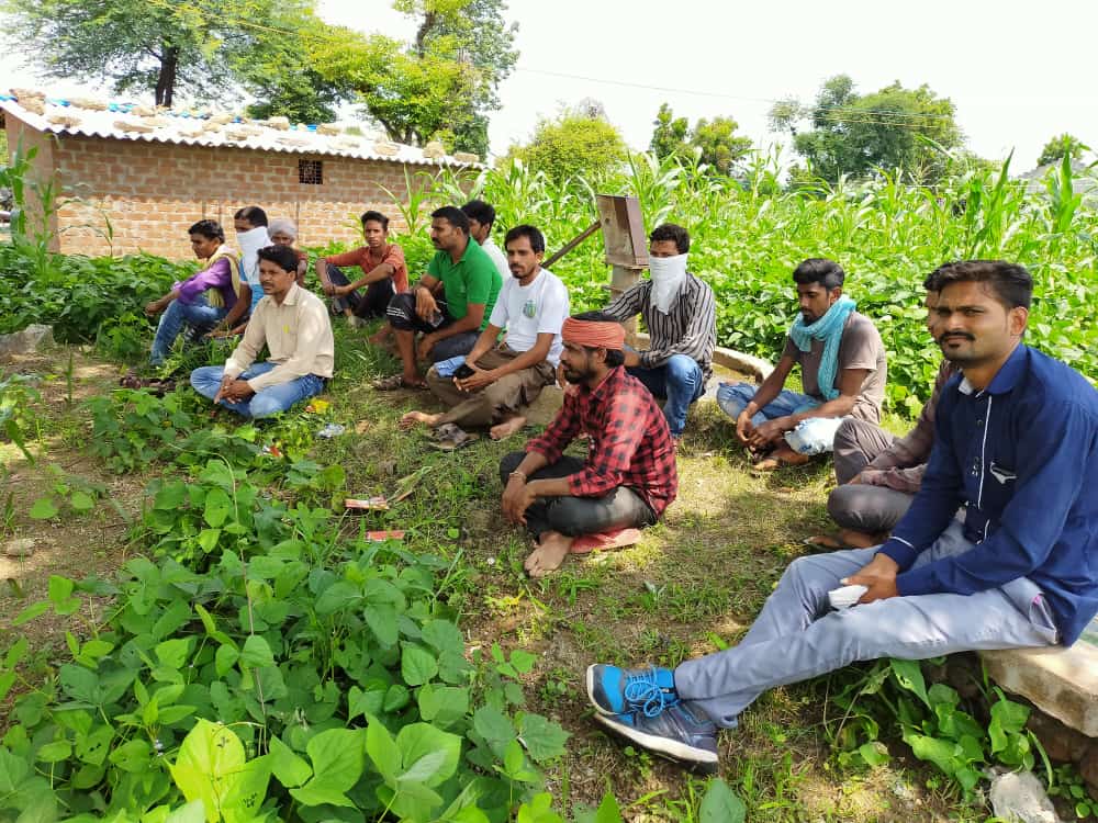 विश्व आदिवासी दिवस के अवसर पर आंगनवाड़ी से कक्षा 8 वीं तक के विद्यार्थियों को वितरित किया जायेगा बेसिक शिक्षा की पाठ्यपुस्तकें एवं अन्य आवश्यक वस्तुएं | New India Times