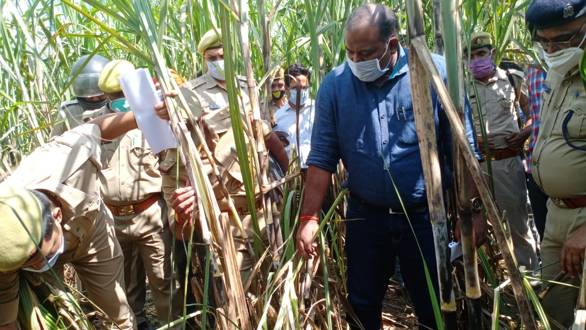 अपहरण कर बालिका को उतारा मौत के घाट, गन्ने के खेत में मिला शव | New India Times