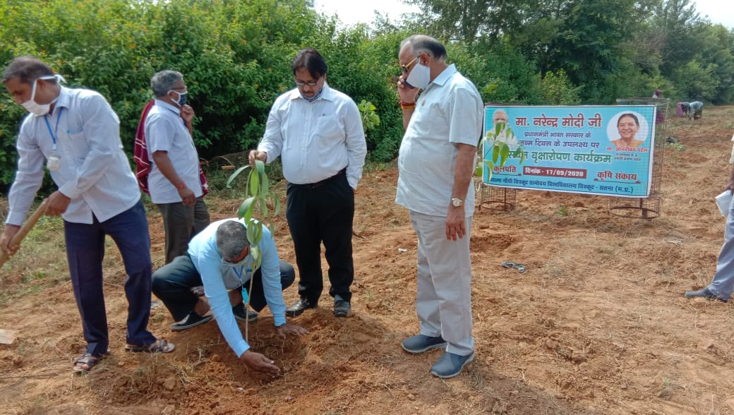 प्रधानमंत्री श्री नरेन्द्र मोदी के जन्मदिन पर ग्रामोदय विश्वविद्यालय में विभिन्न रचनात्मक कार्यक्रमों का हुआ आयोजन वृक्षारोपण, स्वास्थ्य परीक्षण के साथ स्वच्छता अभियान का हुआ शुभारंभ | New India Times