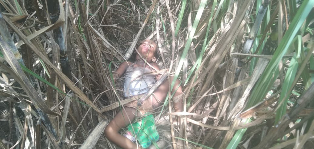 अपहरण कर बालिका को उतारा मौत के घाट, गन्ने के खेत में मिला शव | New India Times
