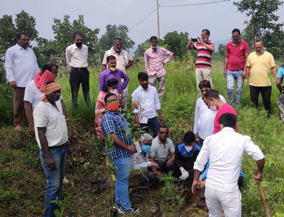 सेवा सप्ताह का हुआ समापन, भाजपा नगर मंडल जुन्नारदेव के कार्यकर्ताओं ने किया वृक्षारोपण | New India Times